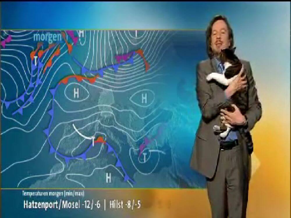 【猫の乱入】ドイツの天気予報に出現、気象予報士のおじさんに抱きかかえられる