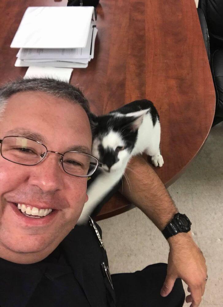 【猫が警察を襲撃！】アメリカ・コロンビア警察、完全にお手上げ状態